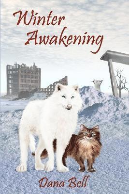 bokomslag Winter Awakening