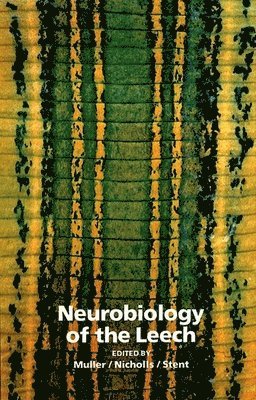 Kenneth J Muller, John G Nicholls, Gunther S Stent, Kenneth J Muller, John G Nicholls, Gunther S Stent - Neurobiology of the Leech, Inbunden