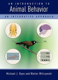 bokomslag Introduction to Animal Behavior: An Integrative Approach