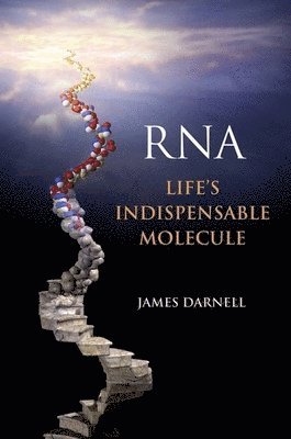 RNA 1