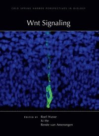 bokomslag Wnt Signaling