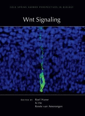Roel Nusse, XI He, Renee Van Amerongen, Roel Nusse, XI He - Wnt Signaling, Inbunden