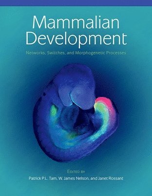 bokomslag Mammalian Development: Networks, Switches, and Morphogenetic Processes