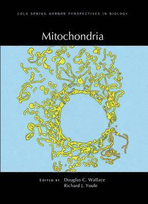 Mitochondria 1