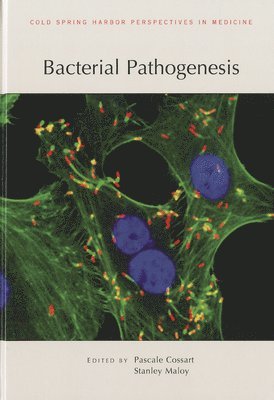 bokomslag Bacterial Pathogenesis