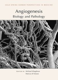 bokomslag Angiogenesis
