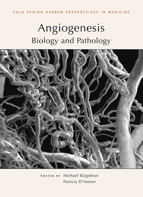 Michael Klagsbrun, Patricia D'Amore - Angiogenesis, Häftad