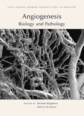 Angiogenesis 1