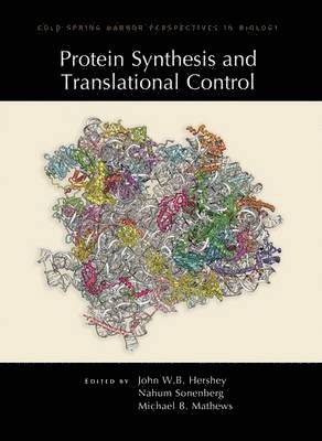 bokomslag Protein Synthesis and Translational Control