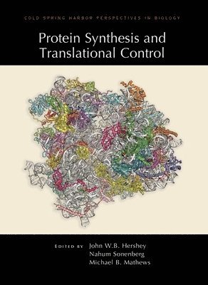 bokomslag Protein Synthesis and Translational Control