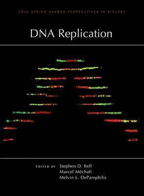 bokomslag DNA Replication