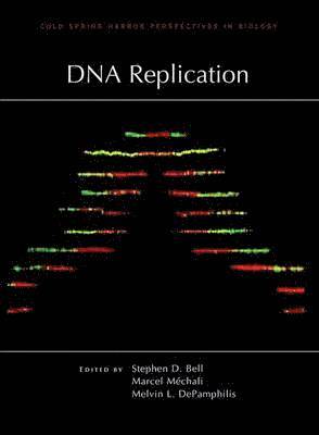 Stephen D Bell, Marcel Mechali, Melvin L Depamphilis, Stephen D. Bell, Stephen D Bell - DNA Replication, Inbunden