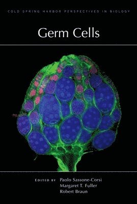 Paolo Sassone-Corsi, Margaret T Fuller, Robert E Braun, Paolo Sassone-Corsi, Margaret T. Fuller, Margaret T Fuller, Robert E Braun - Germ Cells, Inbunden