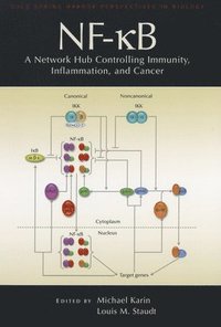 bokomslag Nf-&#954;b: A Network Hub Controlling Immunity, Inflammation, and Cancer