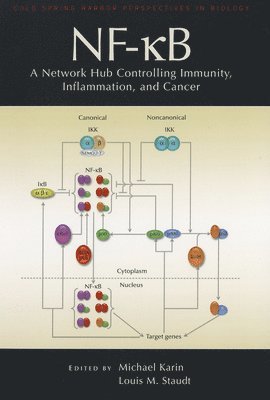 bokomslag Nf-&#954;b: A Network Hub Controlling Immunity, Inflammation, and Cancer