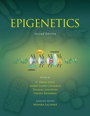 C David Allis, Marie-Laure Caparros, Thomas Jenuwein, Danny Reinberg - Epigenetics, Second Edition, Inbunden
