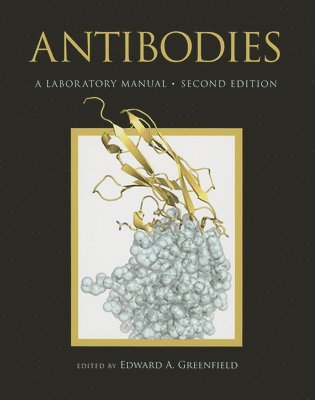 bokomslag Antibodies: A Laboratory Manual, Second Edition