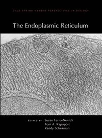 bokomslag Endoplasmic Reticulum