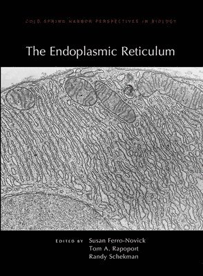 bokomslag Endoplasmic Reticulum