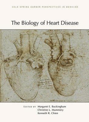 bokomslag Biology of Heart Disease