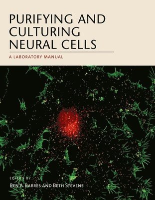 bokomslag Purifying and Culturing Neural Cells