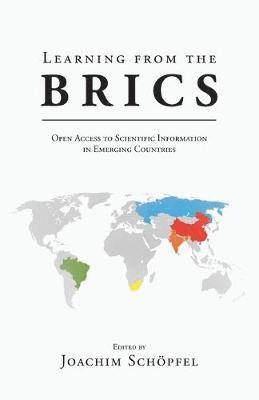 bokomslag Learning from the BRICS