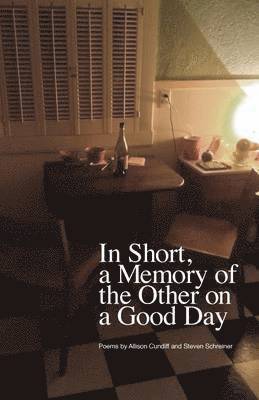 Allison Cundiff, Steven Schreiner - In Short, a Memory of the Other on a Good Day, Häftad