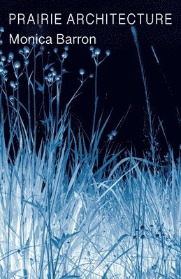Monica Barron - Prairie Architecture, Häftad