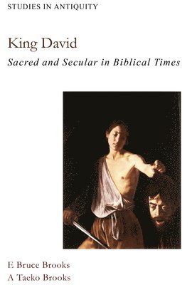 bokomslag King David: Sacred and Secular in Bible Times