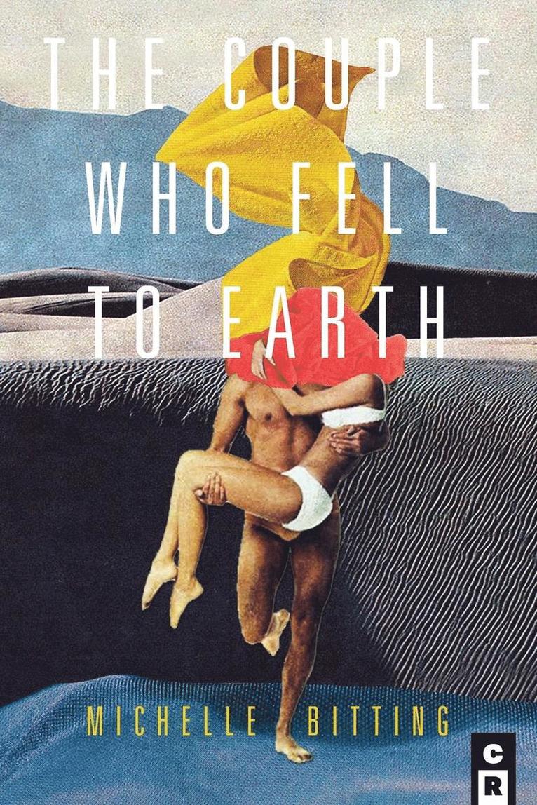 Michelle Bitting - Couple Who Fell to Earth, Häftad
