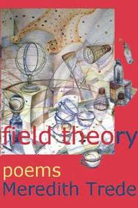 bokomslag Field Theory