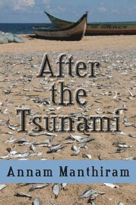 bokomslag After the Tsunami