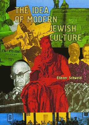 bokomslag The Idea of Modern Jewish Culture