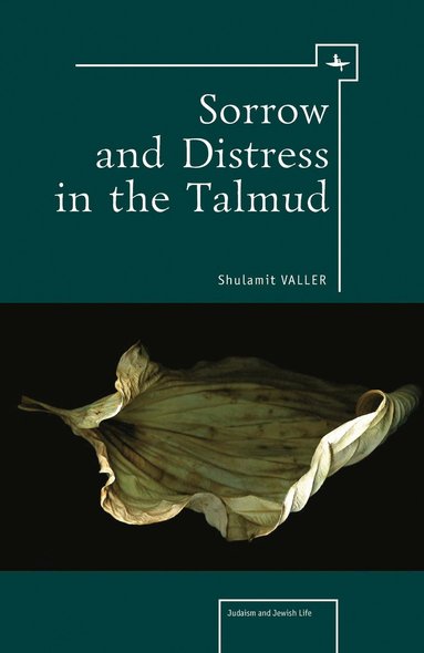 bokomslag Sorrow and Distress in the Talmud