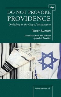 bokomslag Do Not Provoke Providence