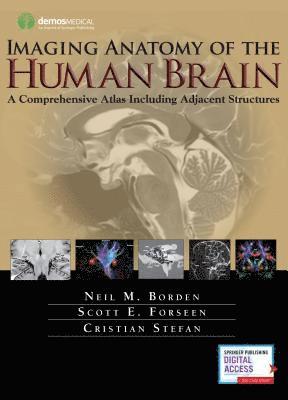 Neil M. Borden, Scott E. Forseen, Cristian Stefan, MD Borden, Neil M., MD Forseen, Scott E., Neil M Borden, Scott E Forseen - Imaging Anatomy of the Human Brain, Inbunden