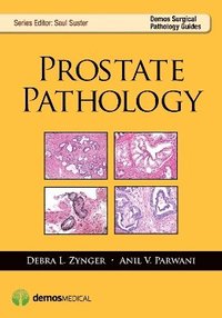 bokomslag Prostate Pathology