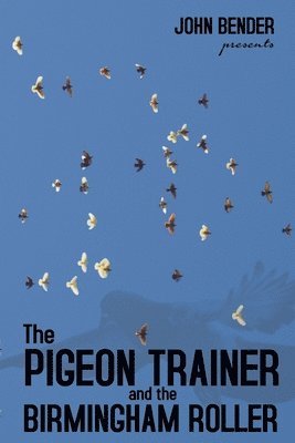 Pigeon Trainer and the Birmingham Roller