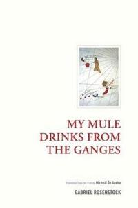 bokomslag My Mule Drinks From the Ganges