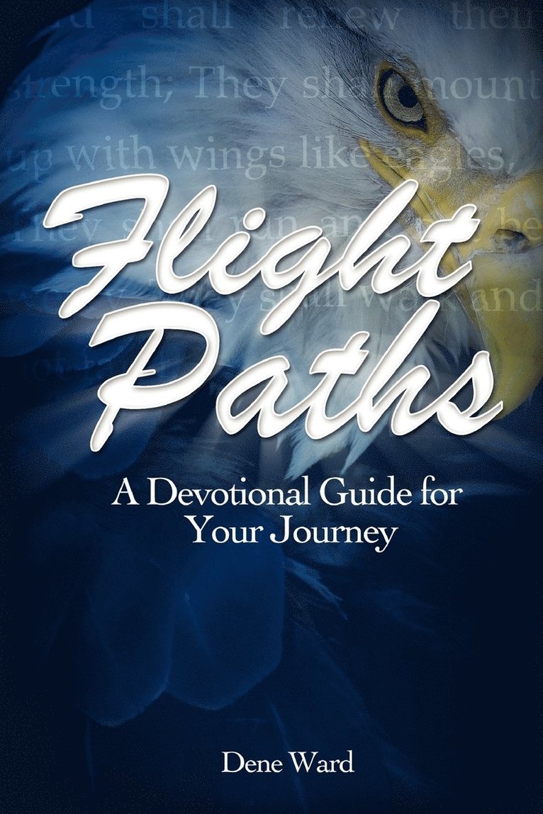 Flight Paths 1