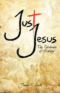 bokomslag Just Jesus