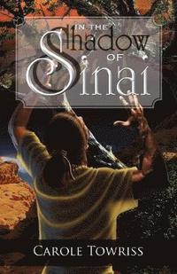 bokomslag In the Shadow of Sinai