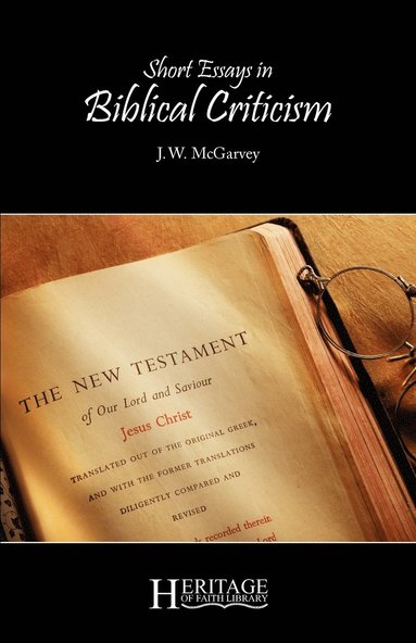 bokomslag Short Essays in Biblical Criticism