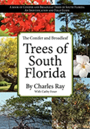 bokomslag Conifer and Broadleaf Trees of the South