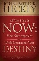 bokomslag All You Have Is Now: How Your Approach to the World Determines Your Destiny