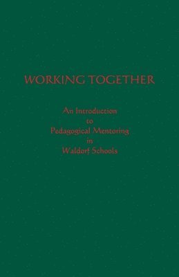 bokomslag Working Together: An Introduction to Pedagogical Mentoring in Waldorf Schools