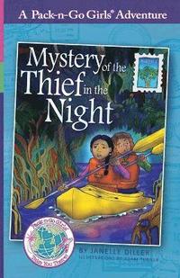 bokomslag Mystery of the Thief in the Night