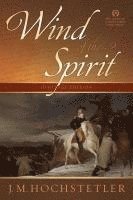 bokomslag Wind of the Spirit