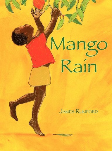 bokomslag Mango Rain