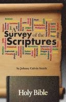 bokomslag A Survey of the Scriptures